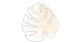illustrations d'une feuille