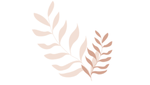 illustrations de 2 feuilles
